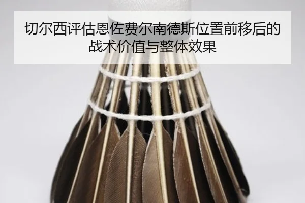 qie-er-xi-ping-gu-en-zuo-fei-er-nan-de-si-wei-zhi-qian-yi-hou-de-zhan-shu-jia-zhi-yu-zheng-ti-xiao-guo-2-439.jpg